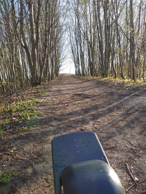 Onewheel Pint riding on trail