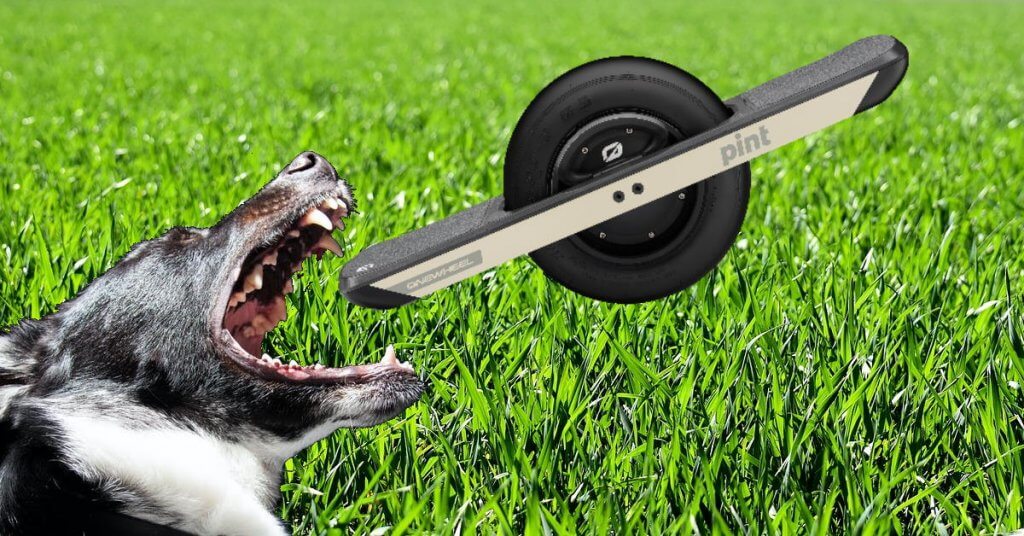 Why dogs hate Onewheels
