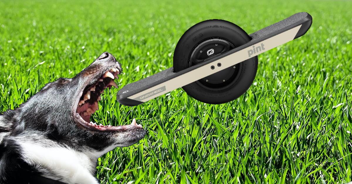 Why dogs hate Onewheels